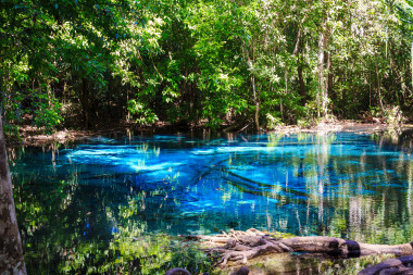 Emerald Pool & Krabi Hot Springs Day Tour