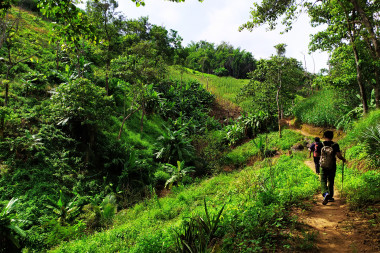Mae Sapok 1 Day Trek – Karen Hill Tribe Experience
