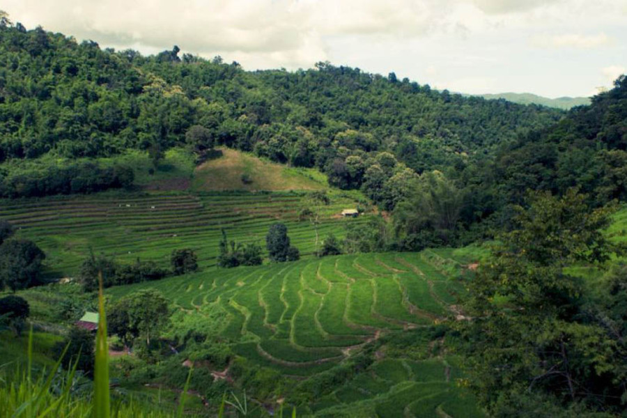 Akha Hill Tribe Jungle Trekking