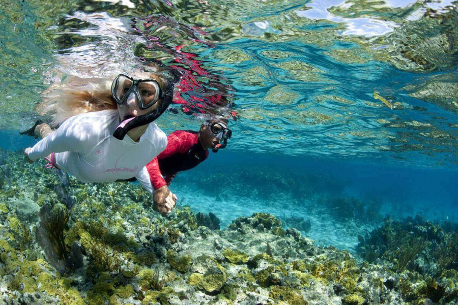 Koh Tao & Koh Nang Yuan Day Trip – Speedboat Adventure Thailand